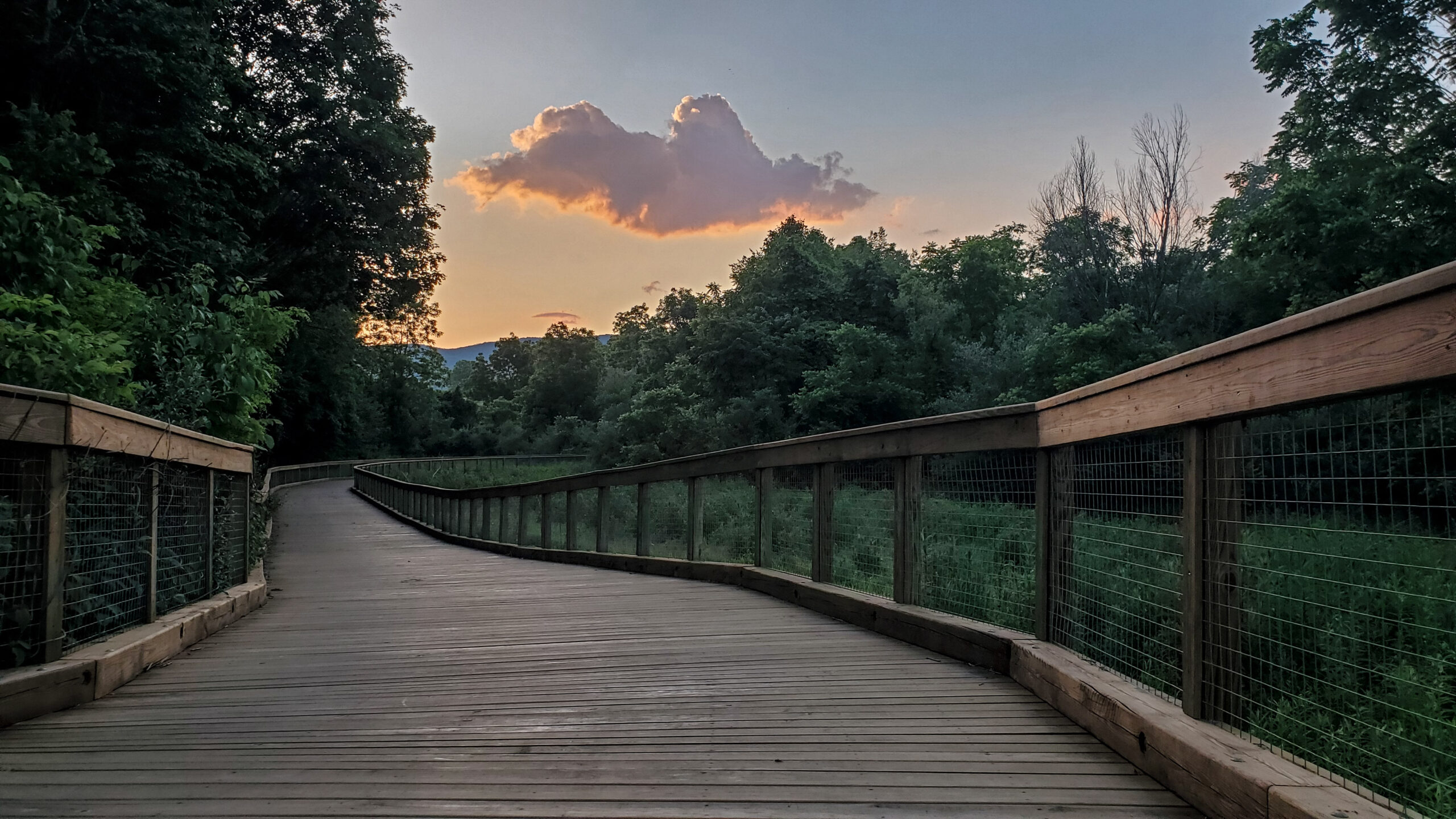 Huckleberry Trail Bridge